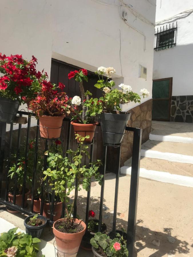 Casa Amigos Sorvilan- La Palmera Eksteriør billede