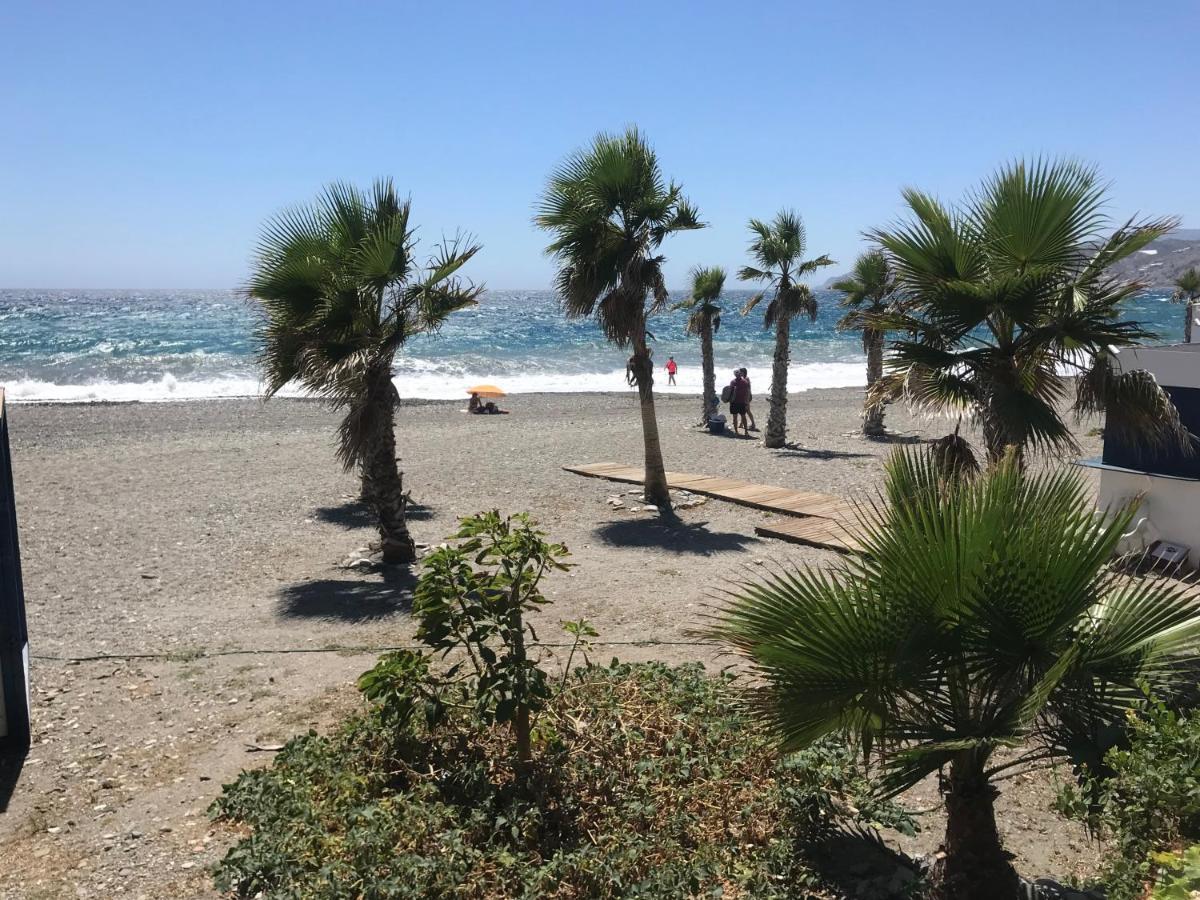 Casa Amigos Sorvilan- La Palmera Eksteriør billede