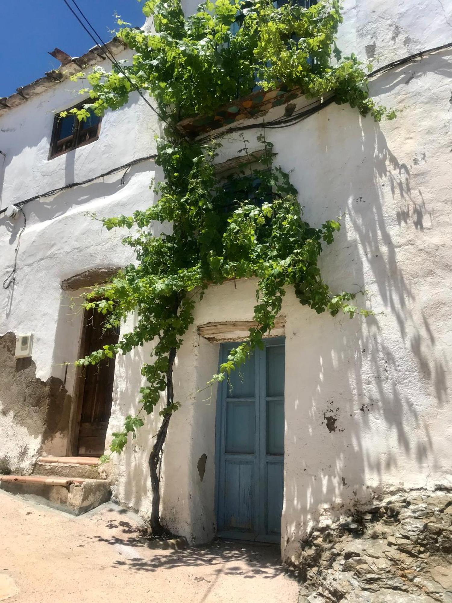 Casa Amigos Sorvilan- La Palmera Eksteriør billede